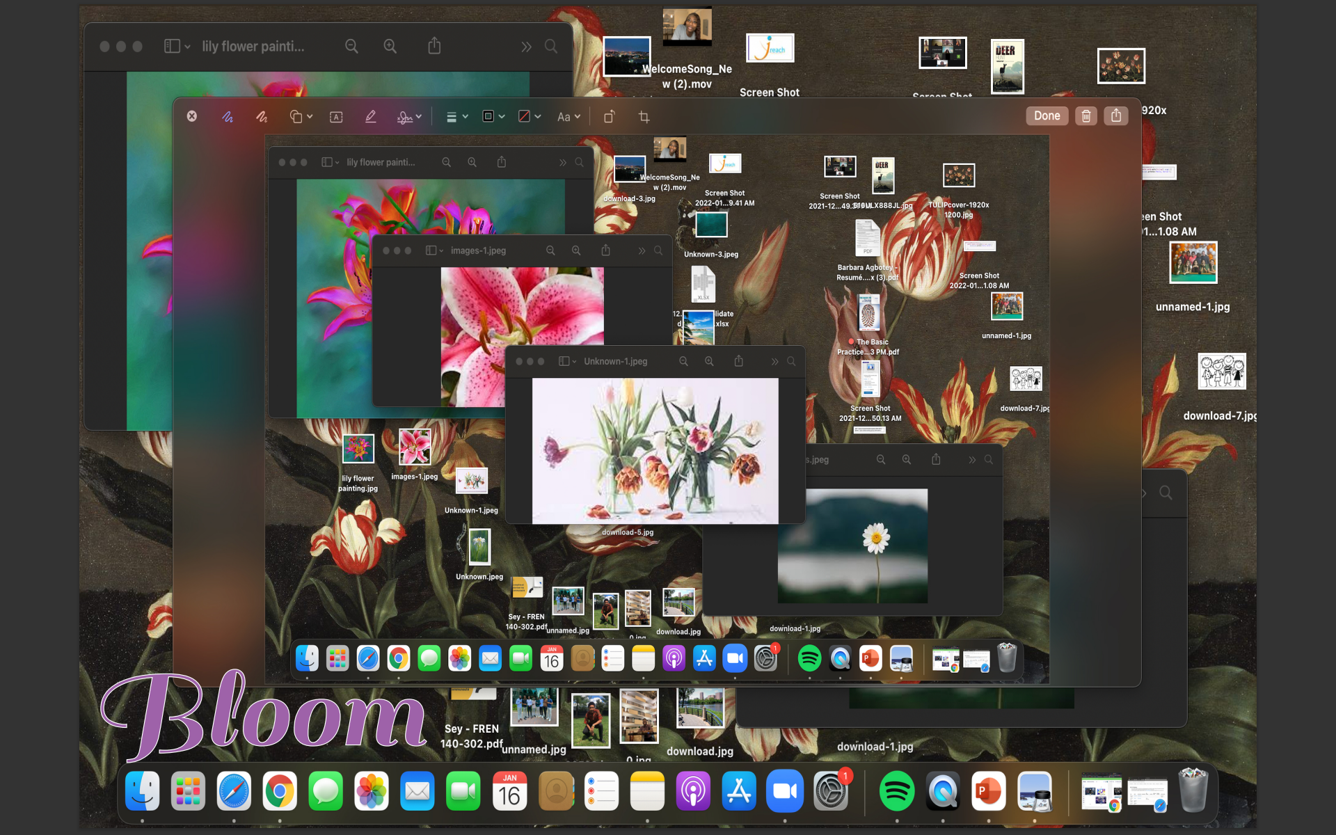 Image of Desktop Portfolio